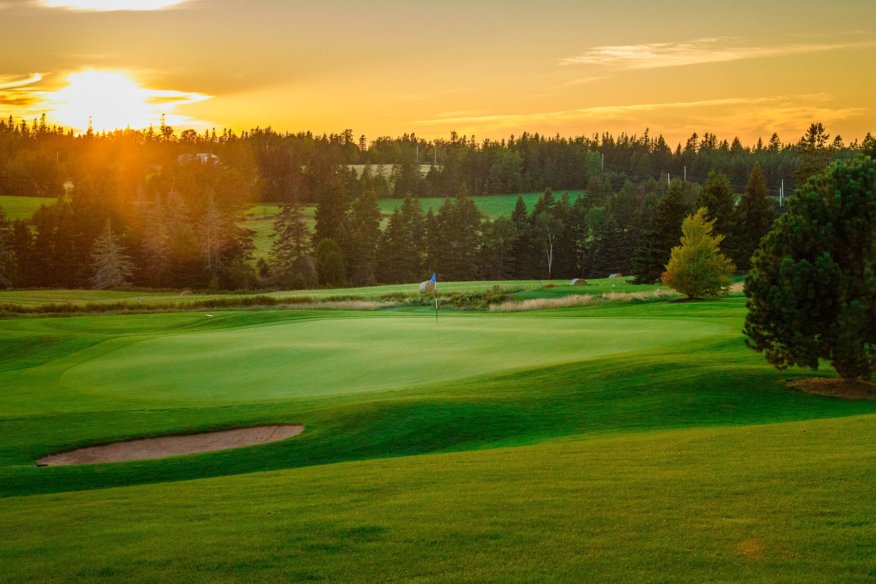 countryview golf club