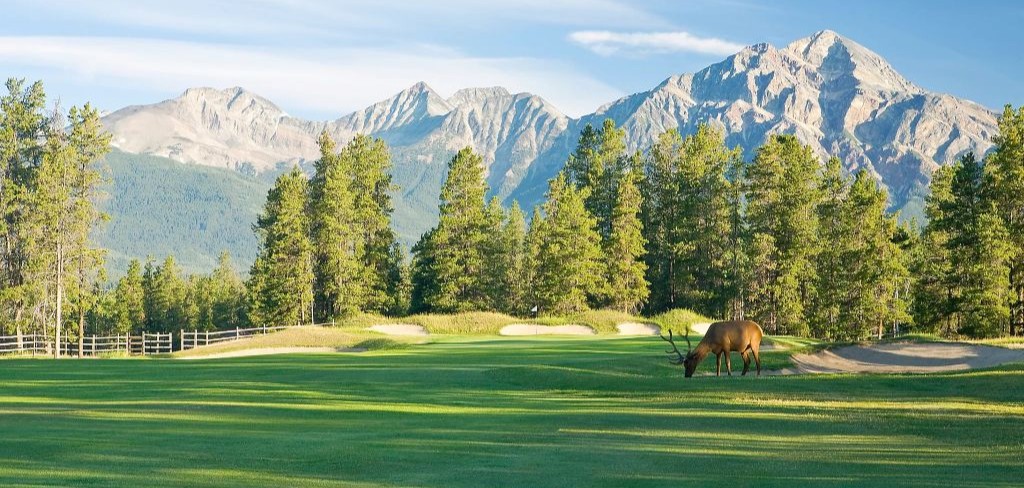rocky mountain golf packages jasper